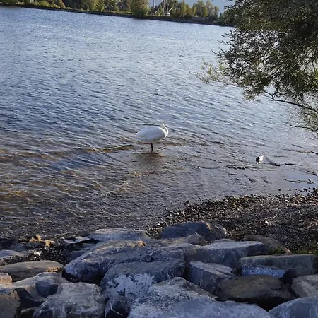 Appartement Am Fussach