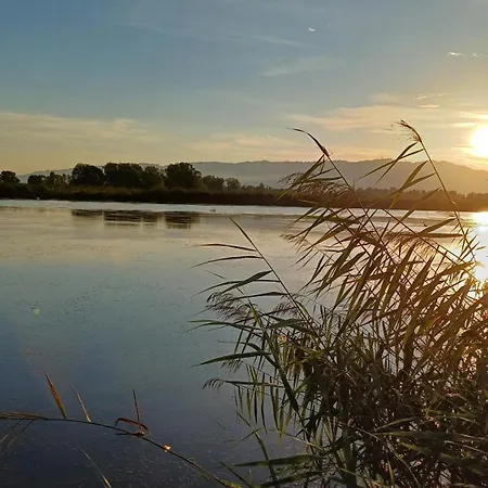 Am * Fussach