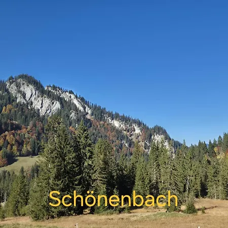 Am * Fussach