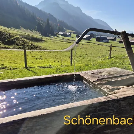 Appartement Am Fussach