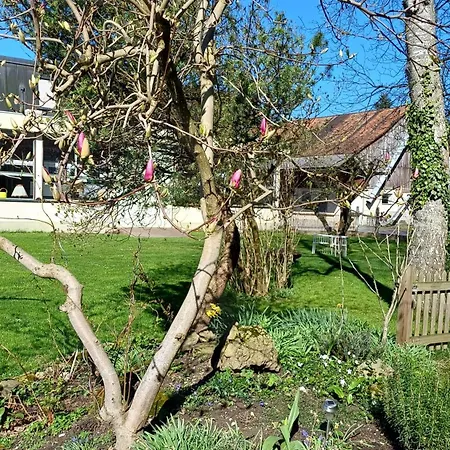 Apartment Am Fussach